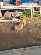 팜모닝 자유주제·자유게시판 게시글 이미지