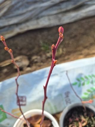 조정숙(1955)님의 자유주제 · 자유게시판 작성글 사진