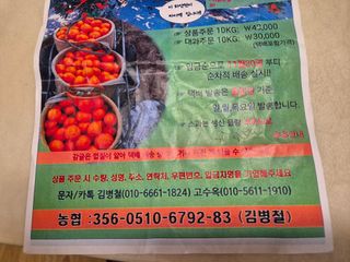 김용민님의 작성글 사진