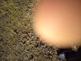 정석도님의 자유주제 · 자유게시판 작성글 사진