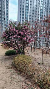 팜모닝 자유주제·자유게시판 게시글 이미지