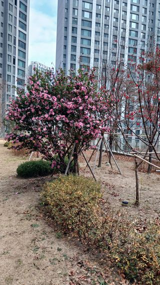 안선주님의 자유주제 · 자유게시판 작성글 사진