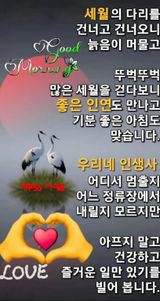 팜모닝 자유주제·자유게시판 게시글 이미지