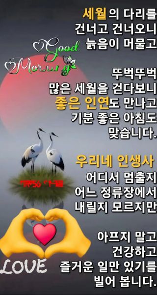 테리우스님의 자유주제 · 자유게시판 작성글 사진