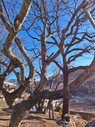 MSG0074님의 자유주제 · 자유게시판 작성글 사진