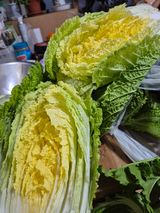 팜모닝 · 게시글 이미지