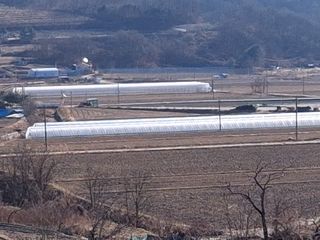 MSG0074님의 자유주제 · 자유게시판 작성글 사진