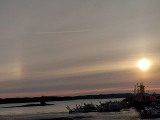 별빛농장지기님의 자유주제 · 자유게시판 작성글 사진