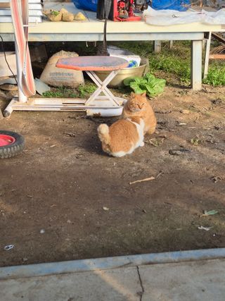 허굴산농장님의 자유주제 · 자유게시판 작성글 사진