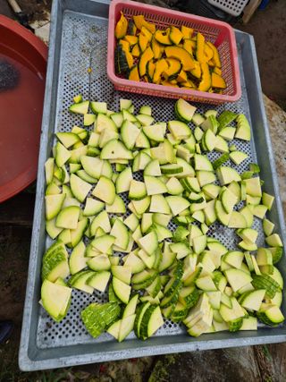 조정숙(1955)님의 자유주제 · 자유게시판 작성글 사진