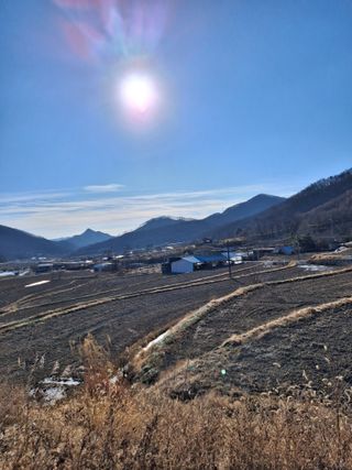 MSG0074님의 자유주제 · 자유게시판 작성글 사진