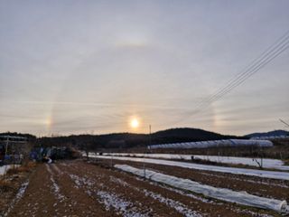 장순봉님의 자유주제 · 자유게시판 작성글 사진