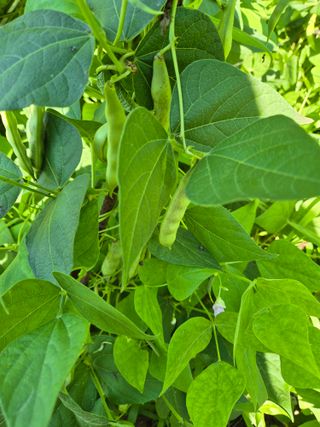 귤19190님의 작성글 사진