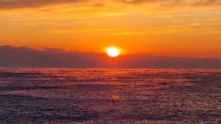 홍박농원님의 자유주제 · 자유게시판 작성글 사진