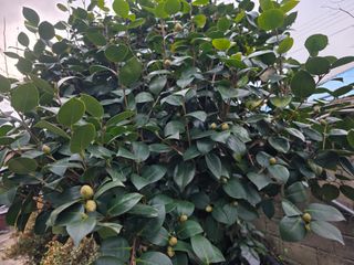 정정치님의 자유주제 · 자유게시판 작성글 사진