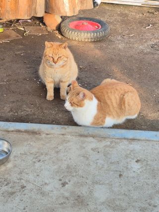 허굴산농장님의 자유주제 · 자유게시판 작성글 사진