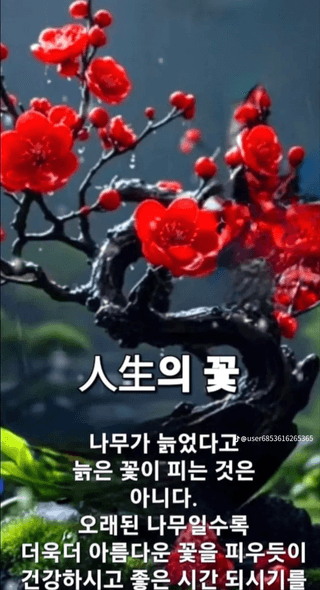 정정치님의 자유주제 · 자유게시판 작성글 사진