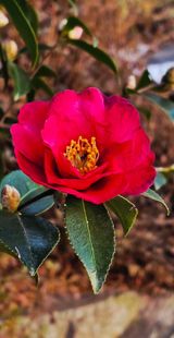 팜모닝 자유주제·자유게시판 게시글 이미지