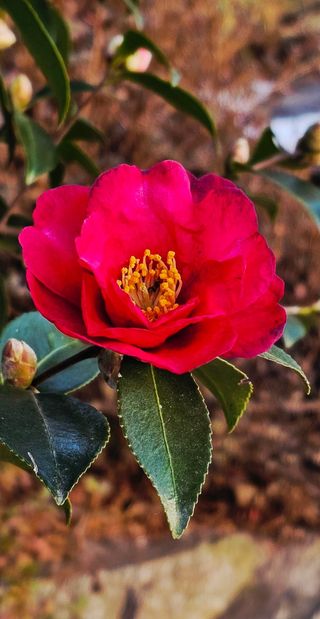 안길원님의 자유주제 · 자유게시판 작성글 사진