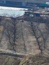 오이19446님의 자유주제·자유게시판 작성글 사진