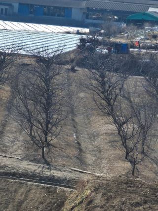 오이19446님의 자유주제 · 자유게시판 작성글 사진
