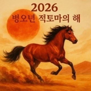 MSG0074님의 자유주제 · 자유게시판 작성글 사진