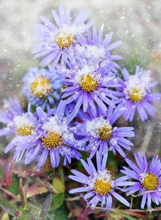 안길원님의 자유주제 · 자유게시판 작성글 사진