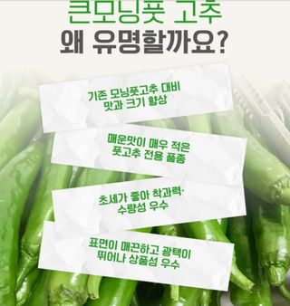 농사대장님의 작성글 사진
