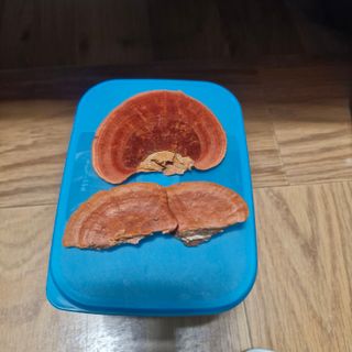 연국흠님의 자유주제 · 자유게시판 작성글 사진