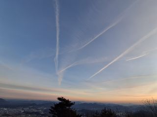 MSG0074님의 자유주제 · 자유게시판 작성글 사진