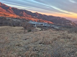 허굴산농장님의 자유주제 · 자유게시판 작성글 사진