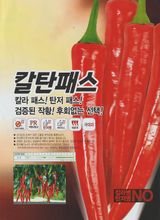 팜모닝 · 게시글 이미지