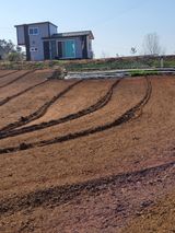 팜모닝 · 게시글 이미지