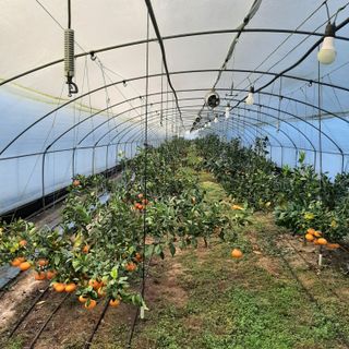 설용걸님의 자유주제 · 자유게시판 작성글 사진