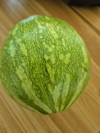 귤19190님의 작성글 사진