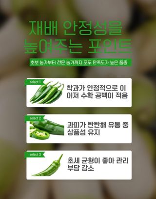 농사대장님의 작성글 사진