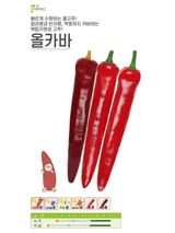 대산농사대장님의 고추·품종•종자 작성글 사진