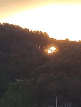 팜모닝 자유주제·자유게시판 게시글 이미지