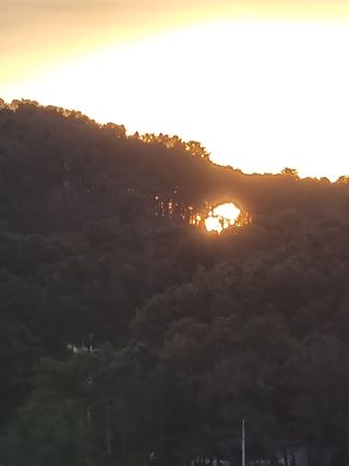 논산푸른팜님의 자유주제 · 자유게시판 작성글 사진