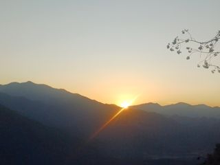 가로수님의 자유주제 · 자유게시판 작성글 사진