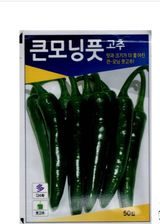 팜모닝 · 게시글 이미지