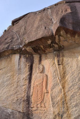 MSG0074님의 자유주제 · 자유게시판 작성글 사진