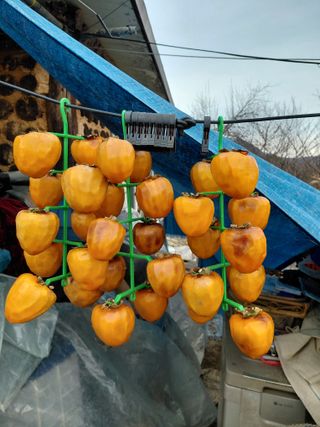 서기종님의 작성글 사진