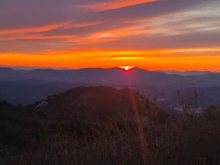 허굴산농장님의 자유주제 · 자유게시판 작성글 사진