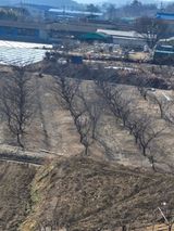 오이19446님의 자유주제·자유게시판 작성글 사진