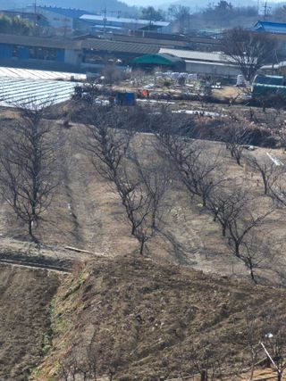 오이19446님의 자유주제 · 자유게시판 작성글 사진