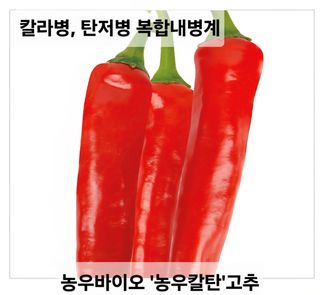 한농농약종묘사님의 작성글 사진