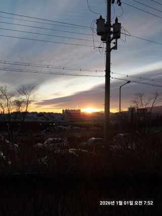 성주 농업인님의 자유주제 · 자유게시판 작성글 사진