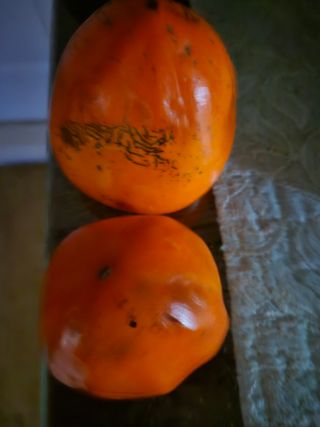 귤19190님의 작성글 사진