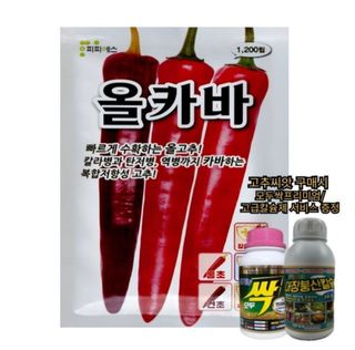 대산농사대장님의 고추 · 품종•종자 작성글 사진